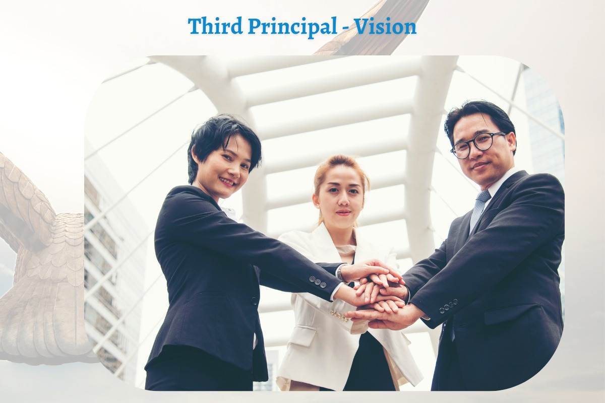 Organizational Constellation 3rd Principal - Vision