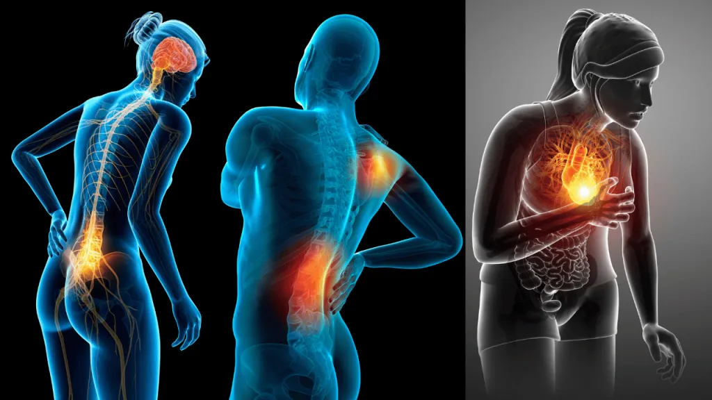 mental health effects on lower-back, chest